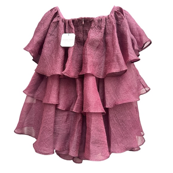 NWT Altar’d State Sadie Winetasting Mini Ruffle Dress - Picture 10 of 11